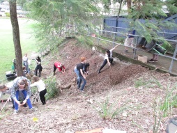 Annual Tree Planting Day
